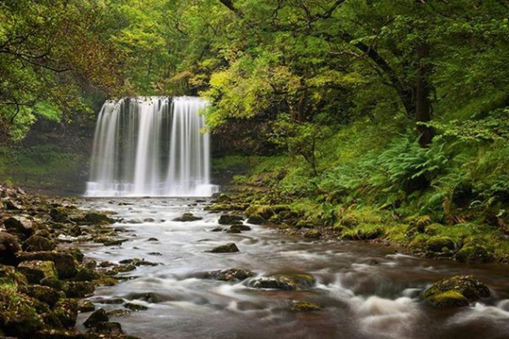 Sgwd Gwladys Lodge Pontneddfechan Eksteriør billede